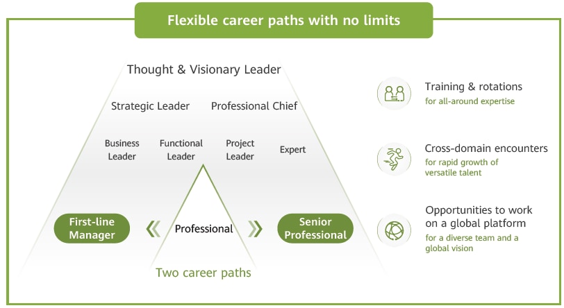 flexible career paths