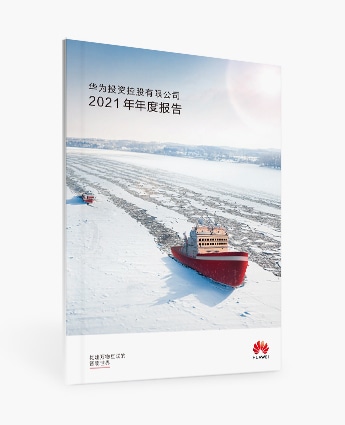 annual report 2021 cv