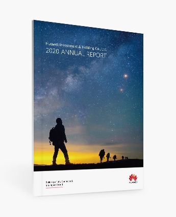 annual report en 2020