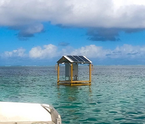 Coral observation platform