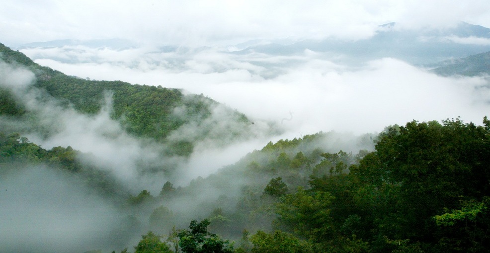 Hainan Tropical Rainforest National Park Bawangling official website