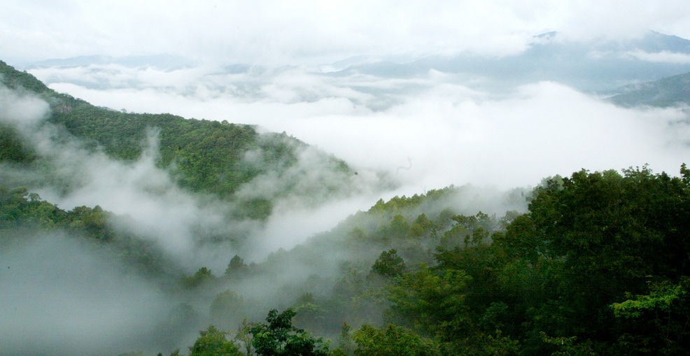 海南热带雨林国家公园霸王岭