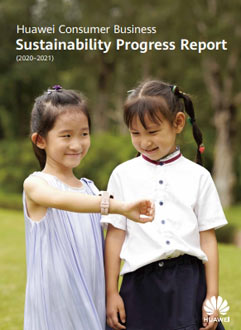 cbg business sustainability progress report 20202021 en