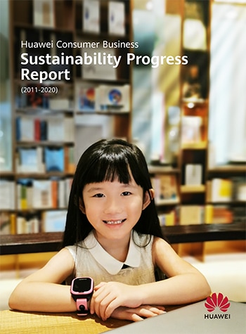 cbg business sustainability progress report 2011 2020 en