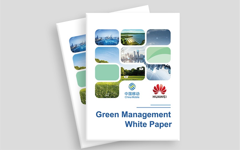 green managements wp cv