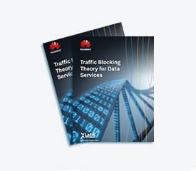 traffic blocking theory for data services cv 275