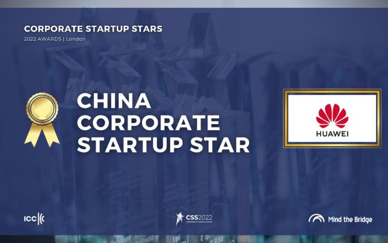 Startup Star Award