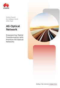 All-Optical Network